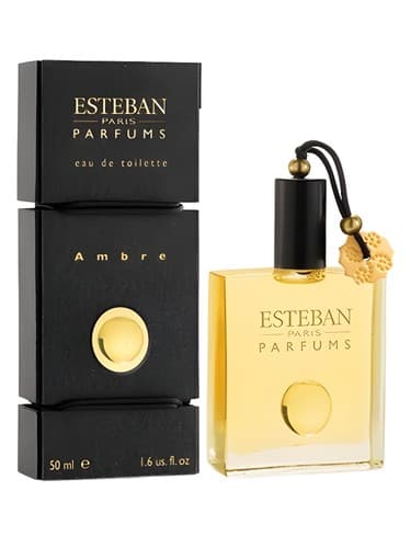 Ambre - آمبر