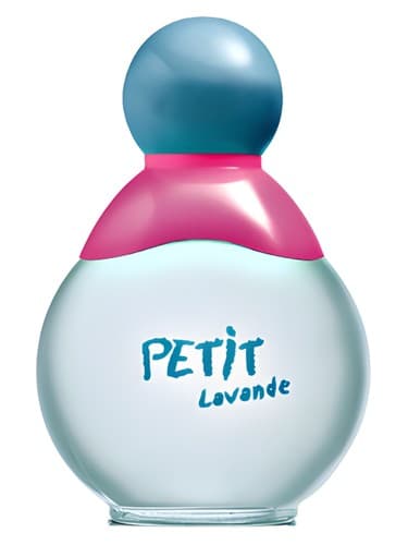 Petit Lavande - پتی لاواند