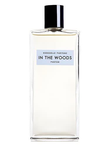 In the Woods - در جنگل