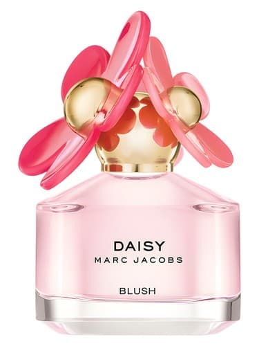 Daisy Blush  - دیزی بلاش