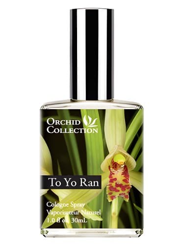 To Yo Ran Orchid - به یو ران ارکید