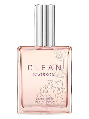 Clean Blossom - کلین بلوسوم