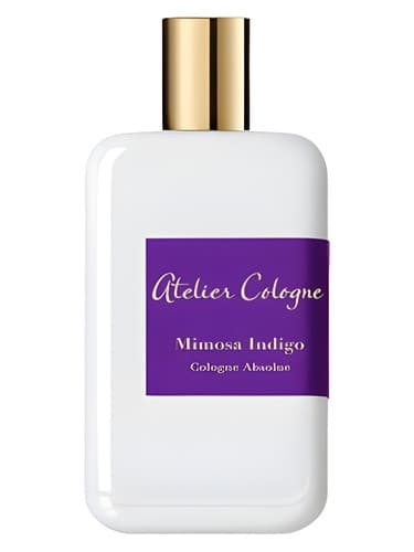 Mimosa Indigo - میموزا ایندیگو