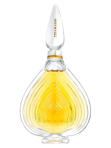 Chamade Extract