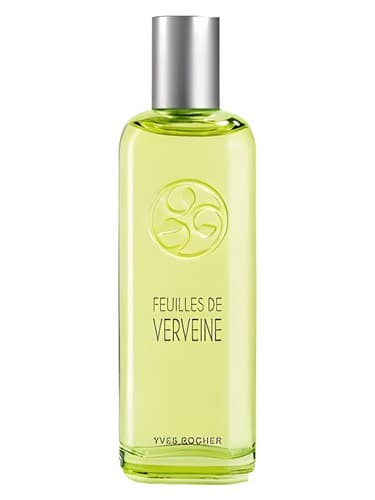 Feuilles de Verveine - فوی دو ورون