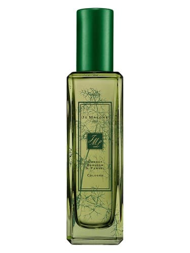 Carrot Blossom & Fennel - کاروت بلوسوم اند فنل