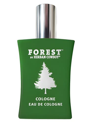 Forest - جنگل