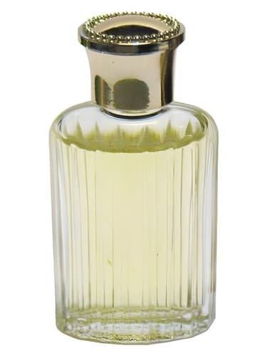 Signoricci 2 - سیگنوریچی 2