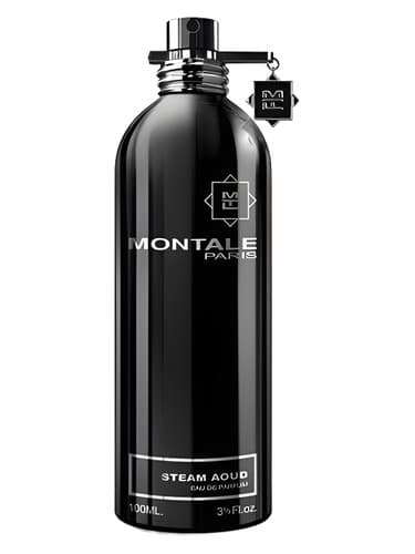 Steam Aoud (Aoud Hoggar Mota)