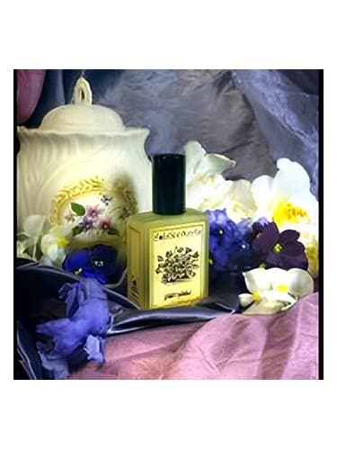 Violet Mallow - وایولت مالو