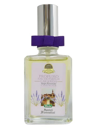 Lavanda
