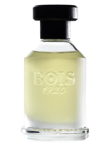 Rosa 23 - رزا 23