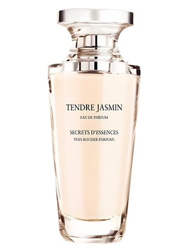 Tendre Jasmin - تندر جاسمین