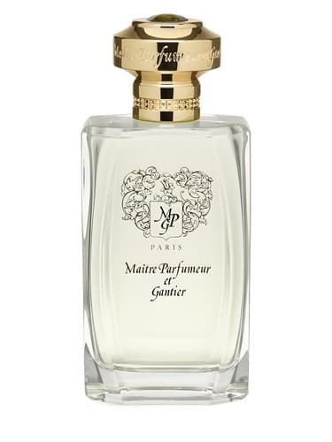 Camelia Chinois - کاملیا چینویس