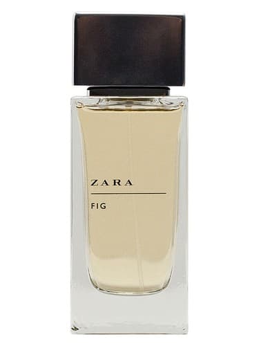 Zara Fig - زارا Fig