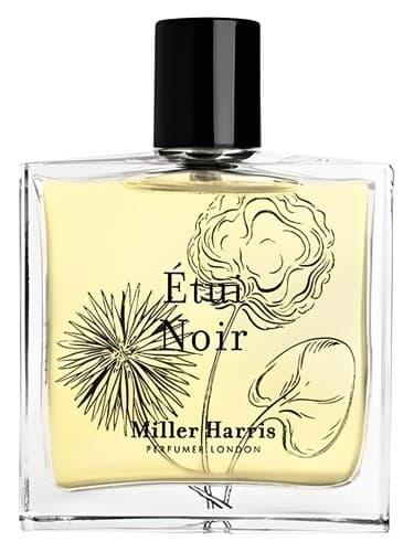Étui Noir - اتوی نوآر