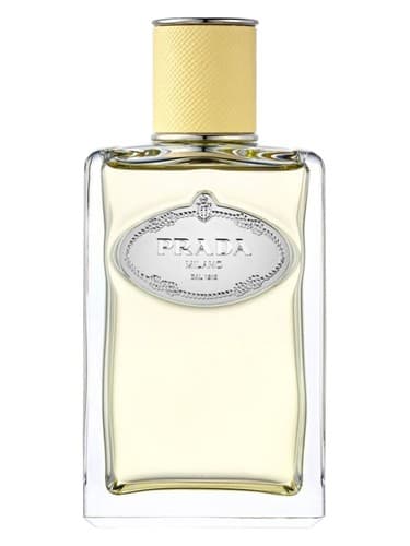 Infusion de Mimosa - اینفیوژن دو میموزا