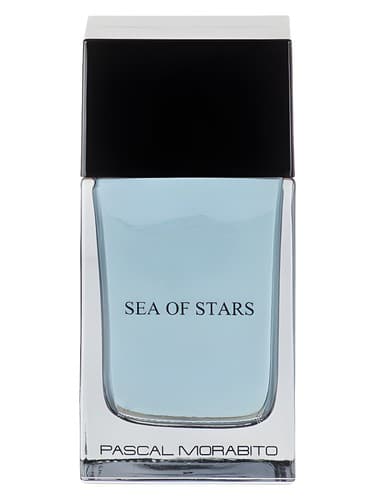 Sea of Stars - دریای استار ها