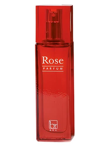 Rose - رز