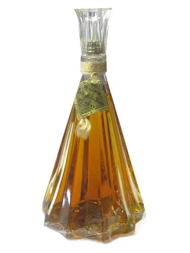 Intoxication (Vintage) - مسمومیت (وینتیج)