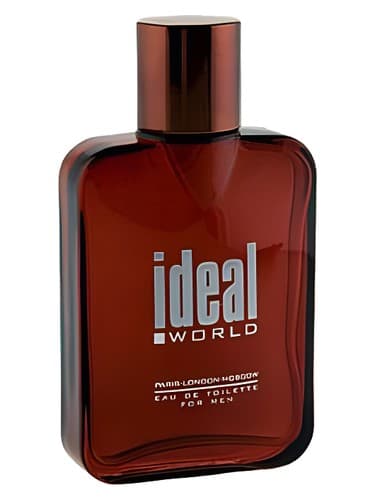 Ideal World