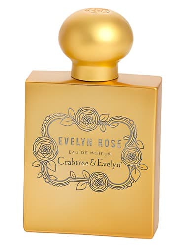 Evelyn Rose - اولین رز