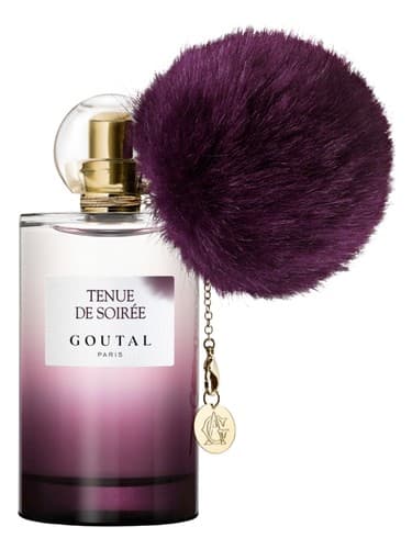 Tenue de Soiree - تنو د سواره