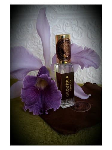 Orquidea Absoluta