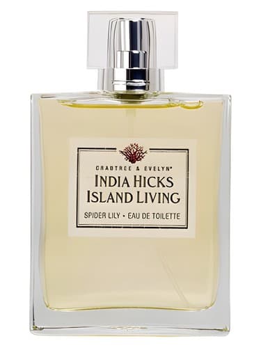 India Hicks Island Living - Spider Lily - زندگی در جزیره هند هیکس - لیلی عنکبوتی