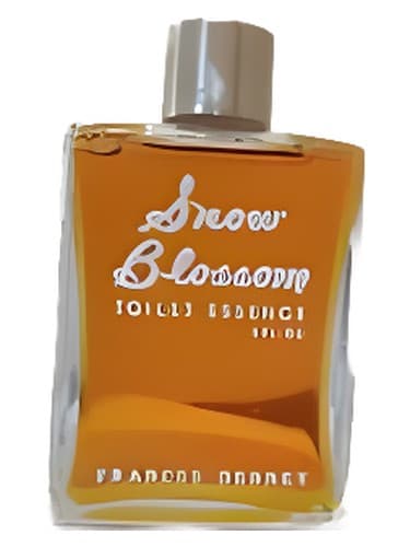 Snow Blossom - شکوفه برف
