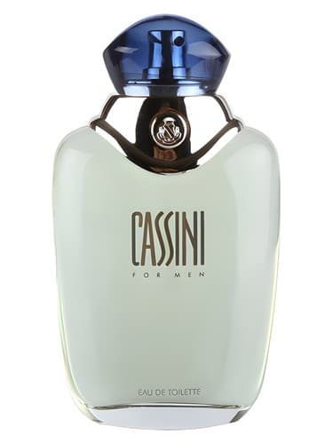 Cassini for Men - کاسینی برای مردان