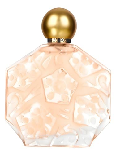 Ombre Rose L'Original - امبره رز لوریجینال