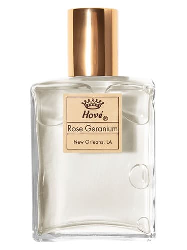 Rose Geranium - شمعدانی رز