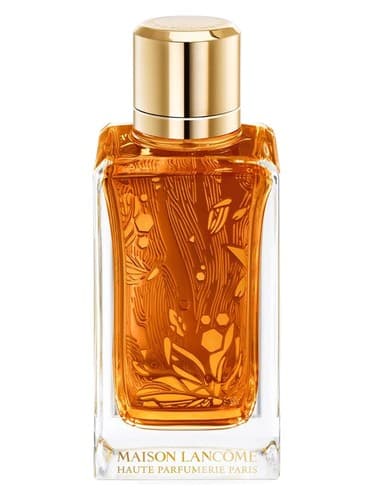 Oud Ambroisie - عود آمبروآزی