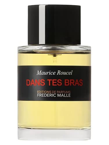 Dans Tes Bras - دان ته برا