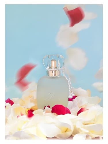 Un Zephir de Rose