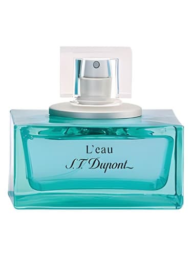 L'Eau de S.T. Dupont pour Homme 