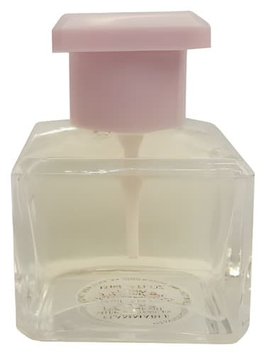 Peony - گل صد تومانی