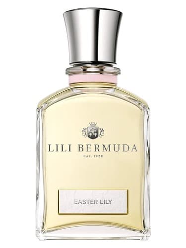 Easter Lily