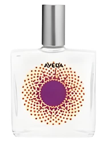 Desert Pure-Fume Sand Verbena - صحرا Pure-Fume Sand Verbena