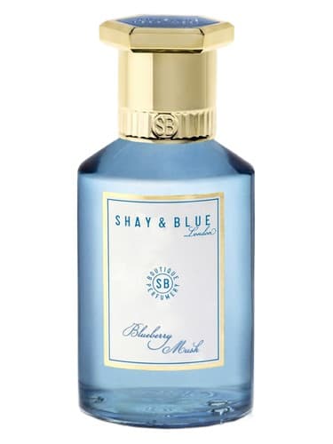 Blueberry Musk - بلوبری ماسک