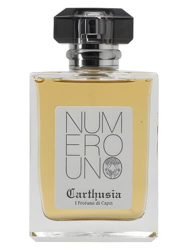 Numero Uno - نومرو اونو