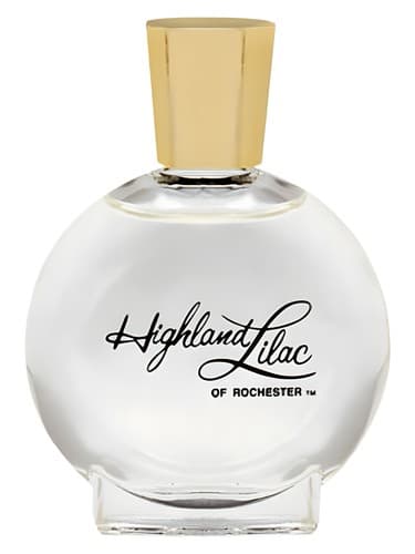 Highland Lilac