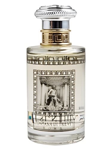 Fontana di Trevi XIV - فونتانا دی تروی چهاردهم