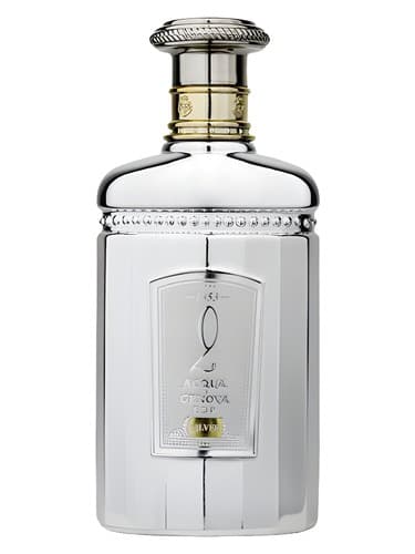 Silver 2 - نقره 2