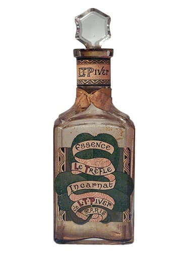 Trèfle Incarnat