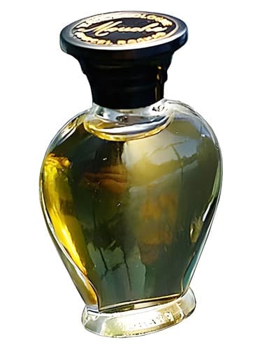 Mouche - موش