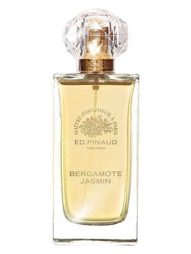 Bergamote Jasmin - برگاموت یاس