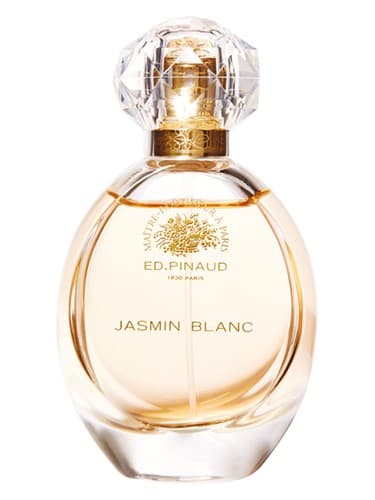 Jasmin Blanc