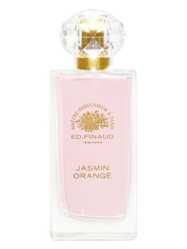 Jasmin Orangé